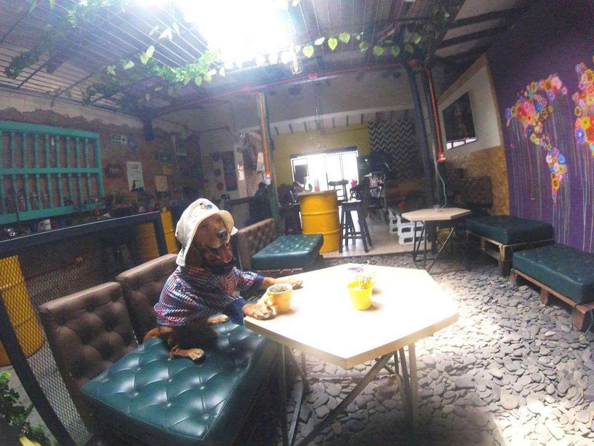 Panela Medellin Hostel Exterior photo