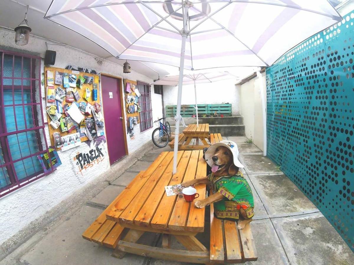 Panela Medellin Hostel Exterior photo