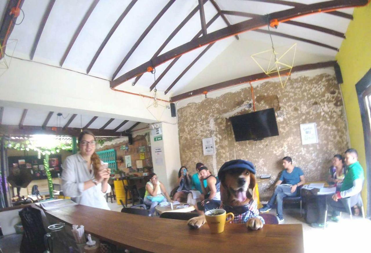 Panela Medellin Hostel Exterior photo